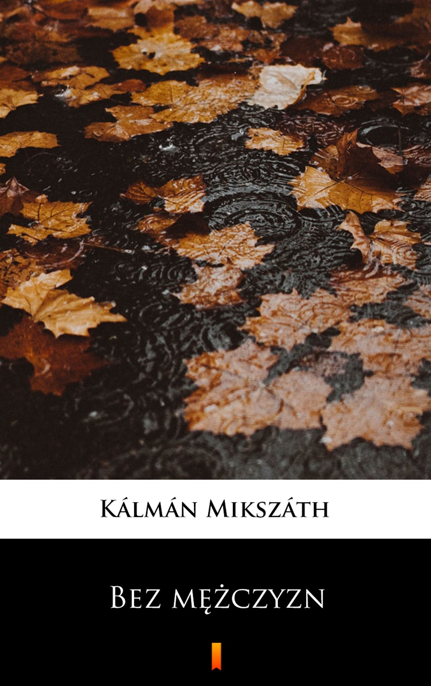 Bez mężczyzn (e-book)