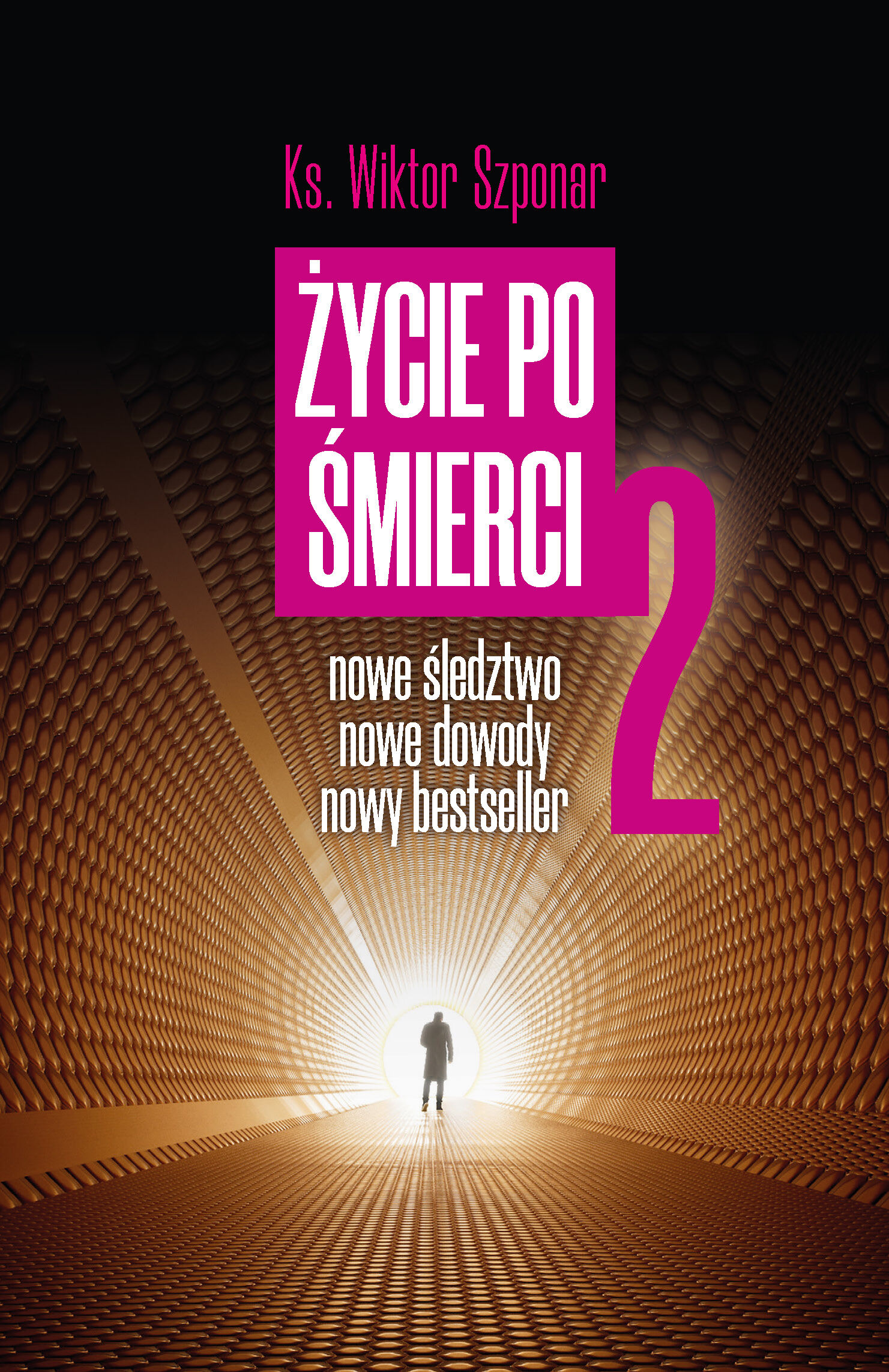 Życie po śmierci 2 (e-book)