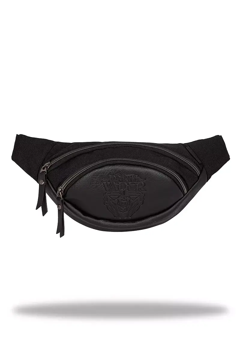 Saszetka nerka disney 100 albany black collection