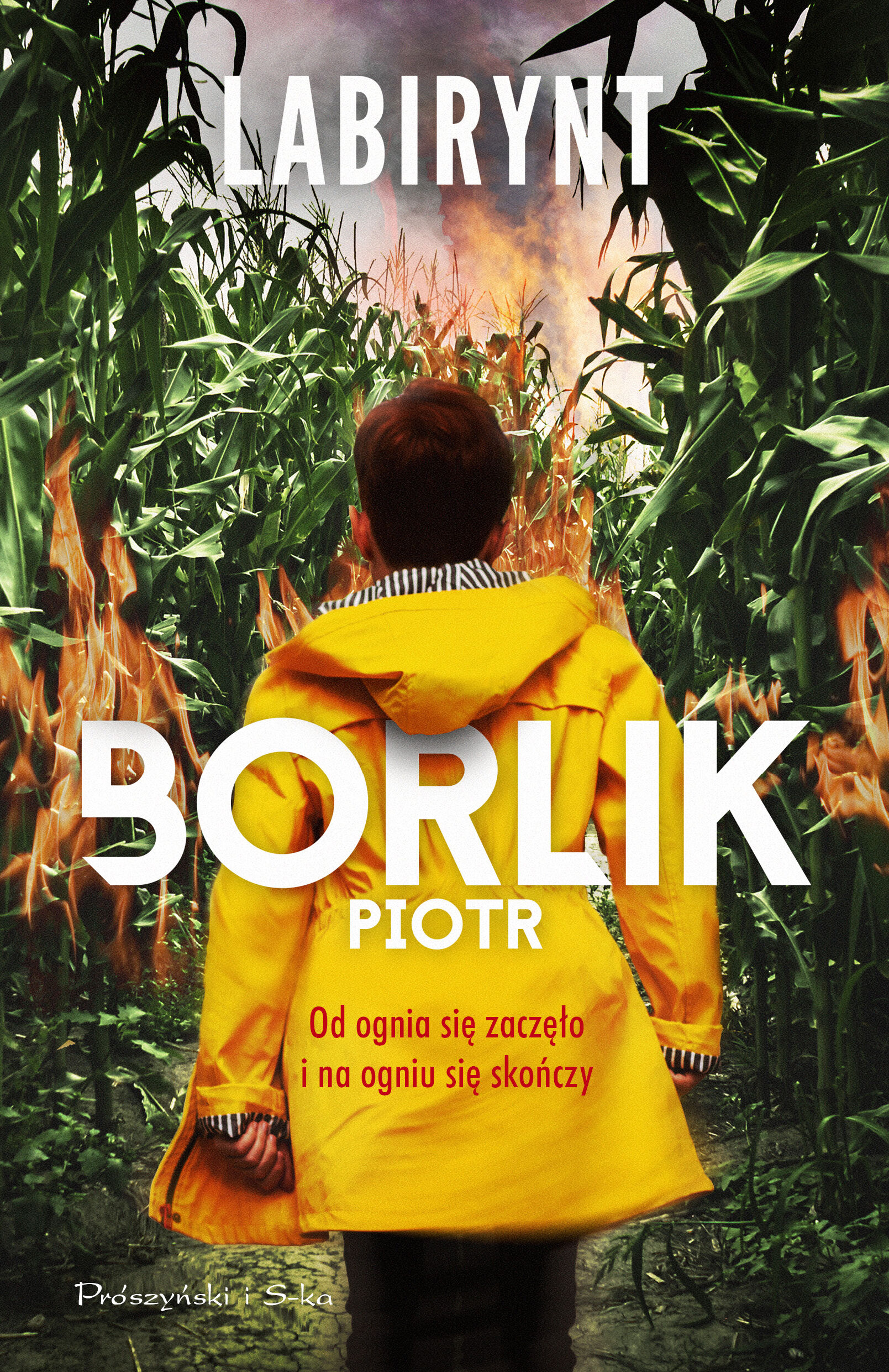 Labirynt (e-book)