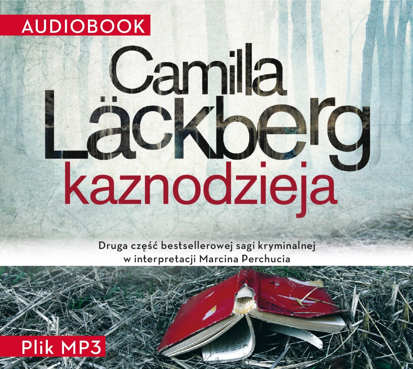 Kaznodzieja (audiobook MP3)