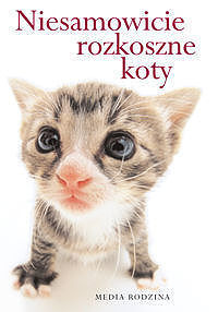 Niesamowicie rozkoszne koty
