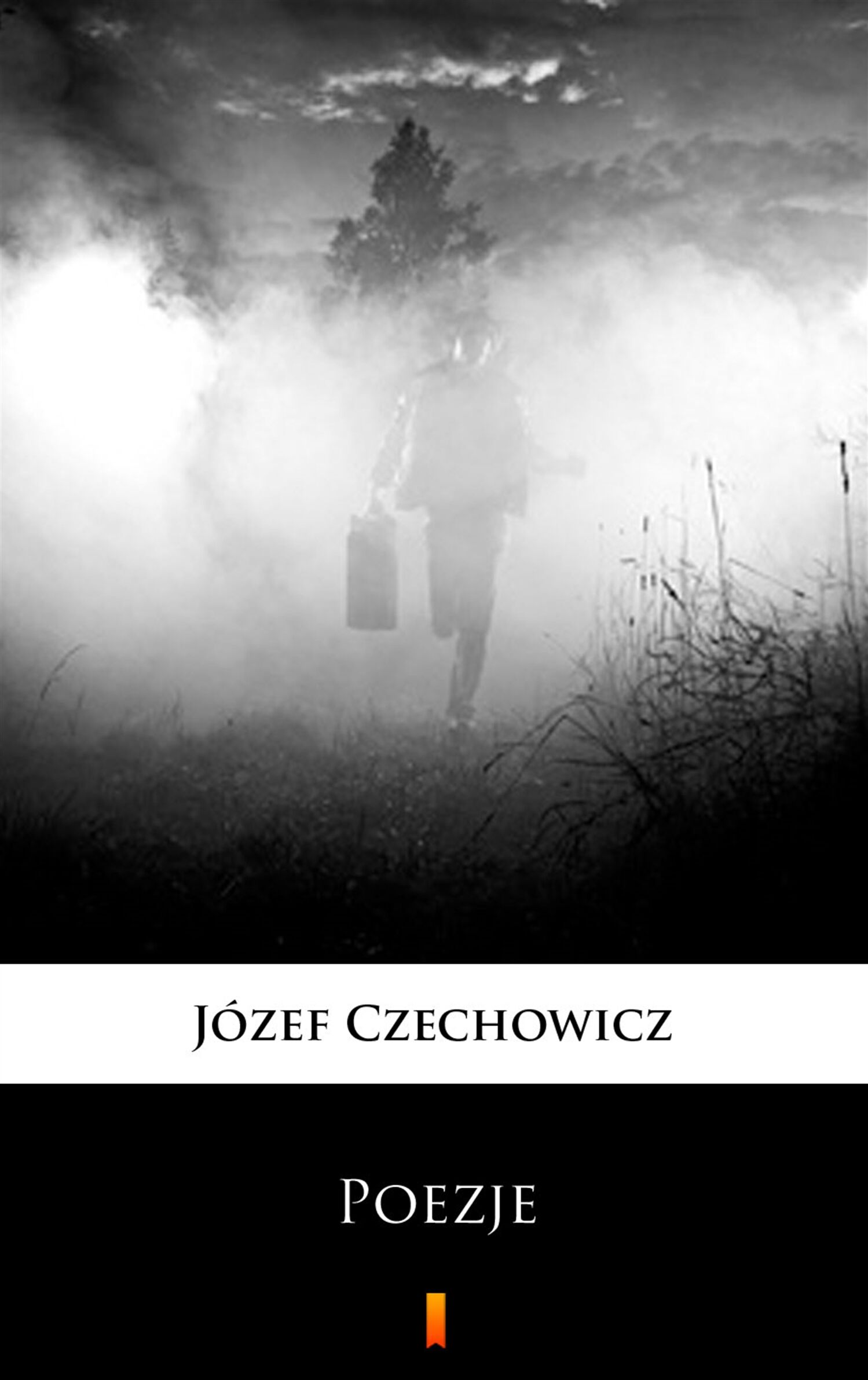 Poezje (e-book)