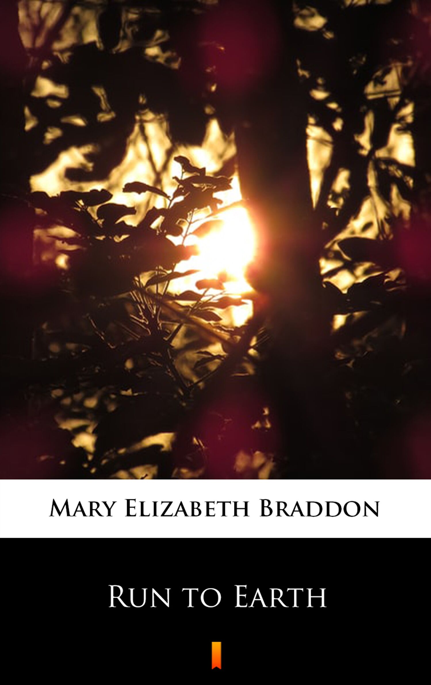 Run to Earth (e-book)