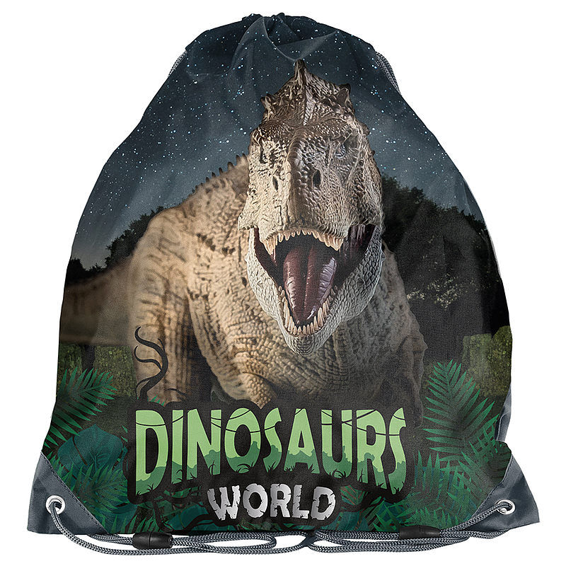 Worek na obuwie dinosaur pp23dz-712