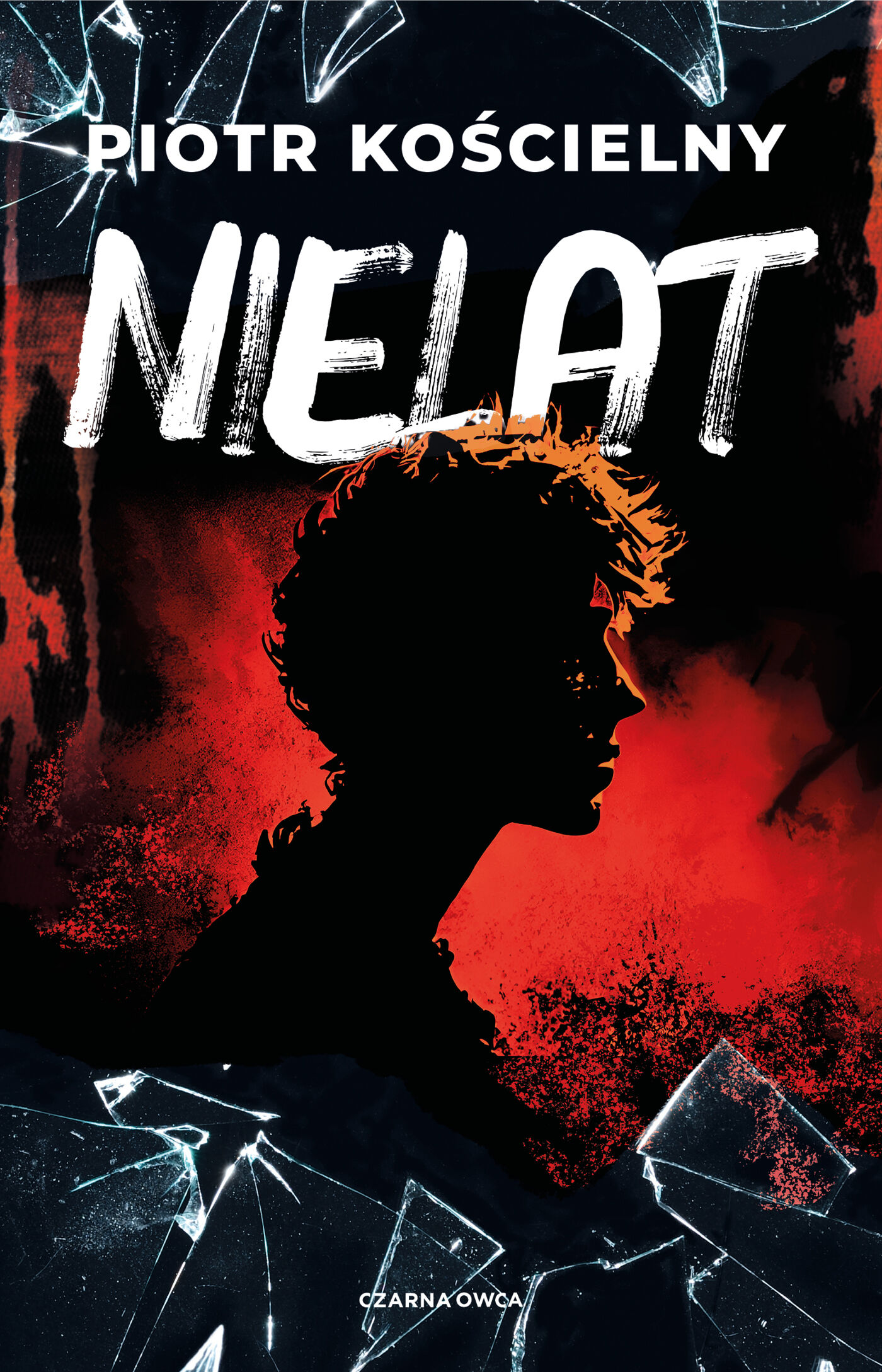 Nielat (e-book)