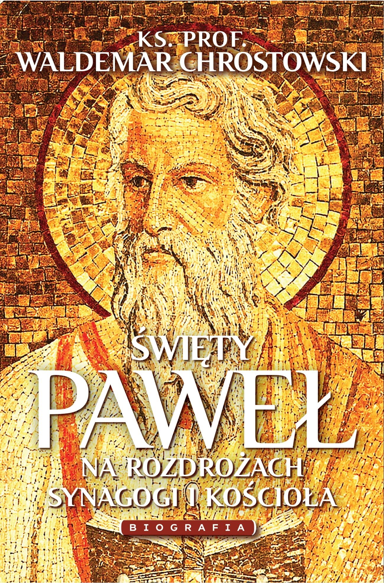 Święty Paweł. Biografia (e-book)