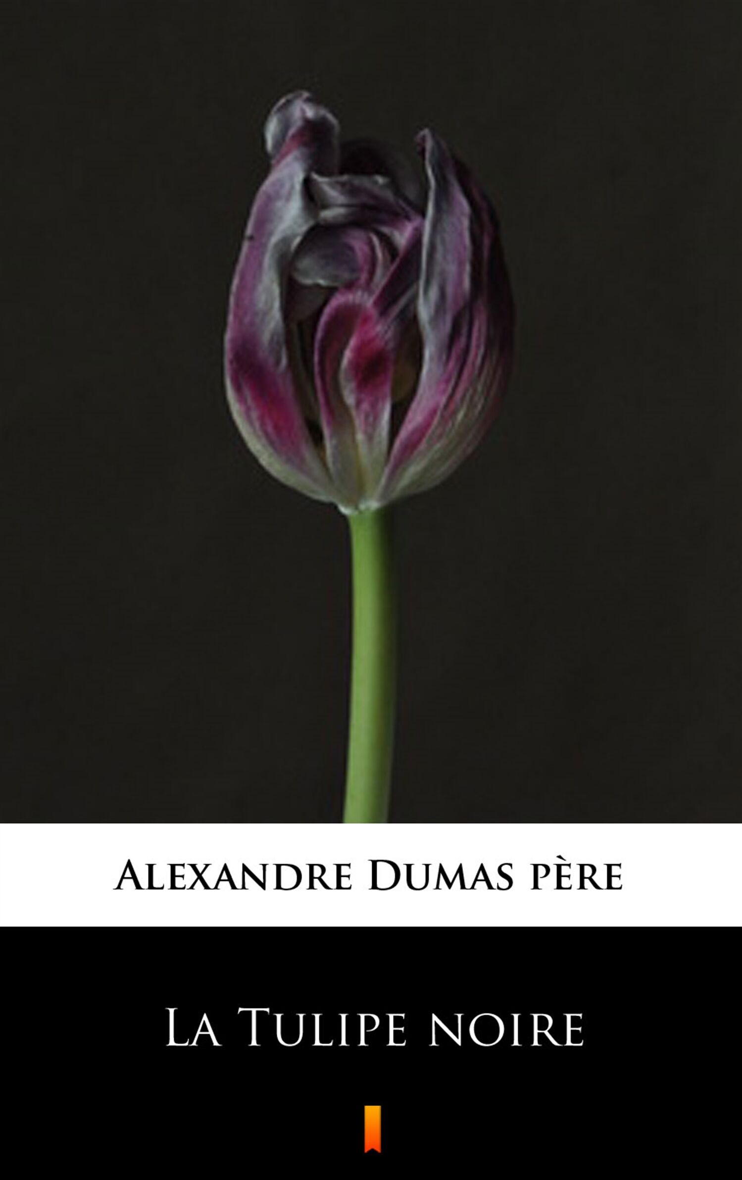 La Tulipe noire (e-book)