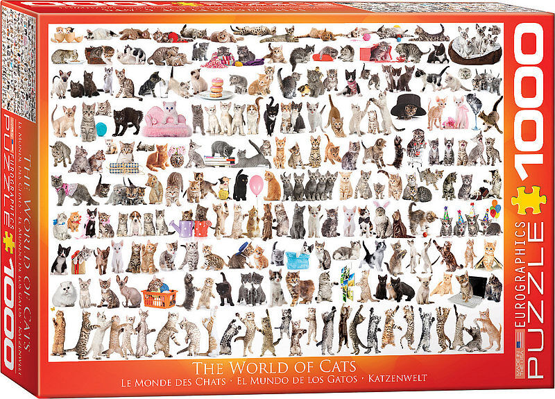 Puzzle 1000 świat kotów 6000-0580