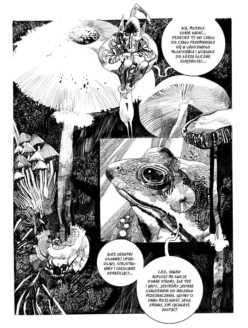 Toppi. Kolekcja. Tom 1: Zaczarowany świat
