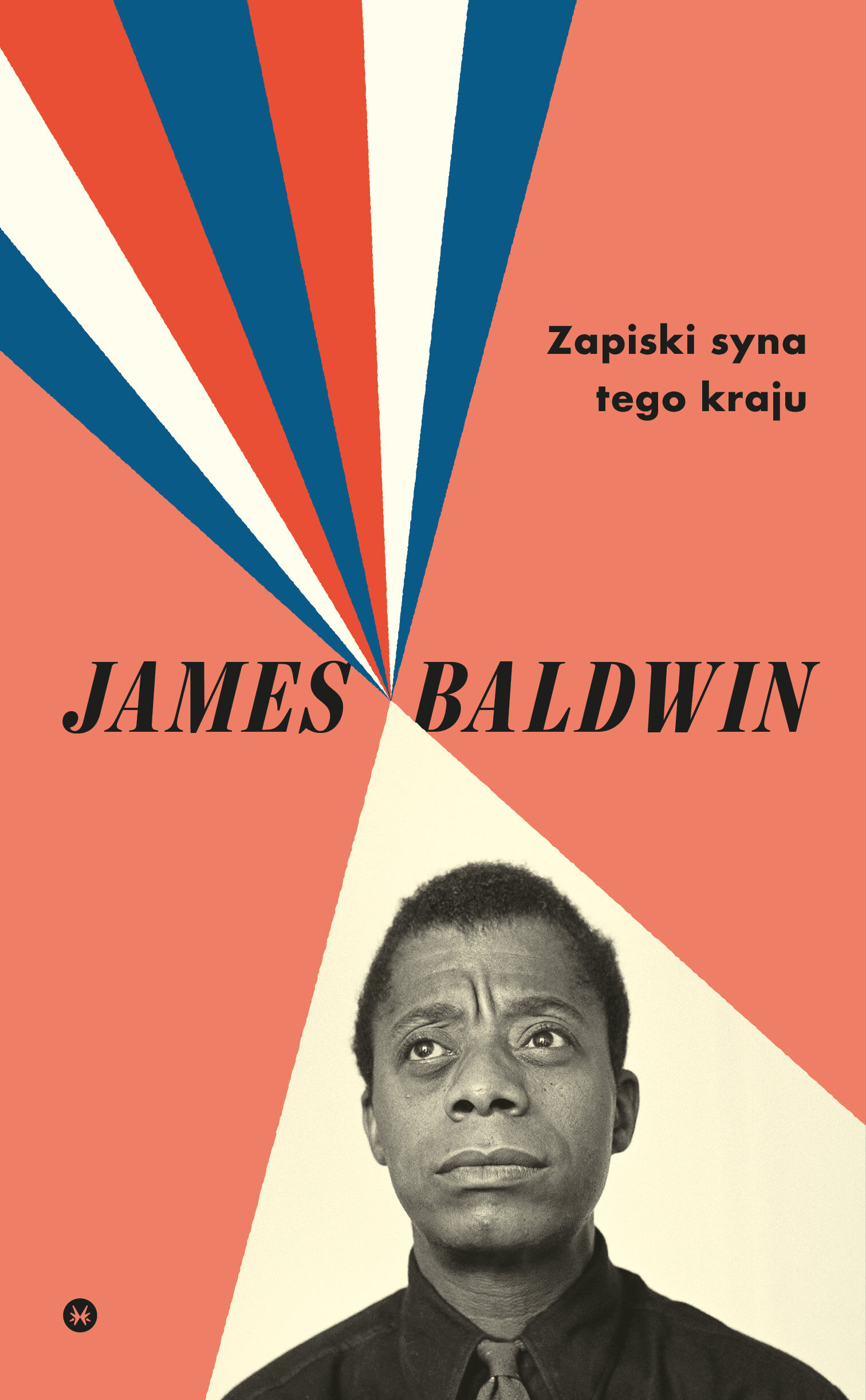 Zapiski syna tego kraju (e-book)