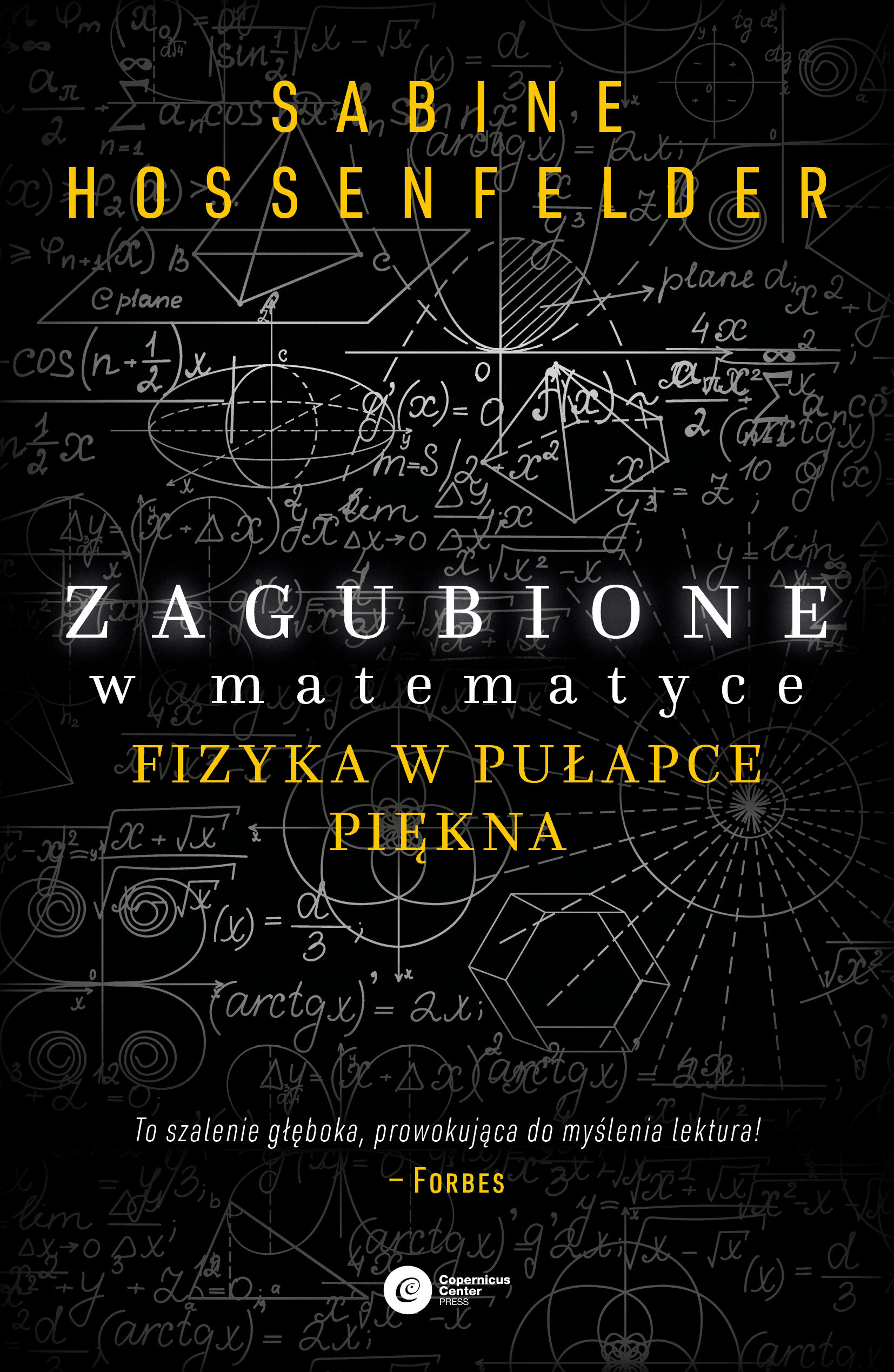 Zagubione w matematyce (e-book)