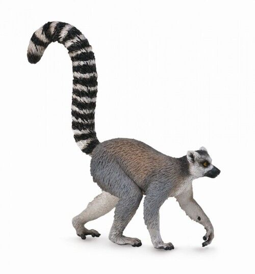 Lemur