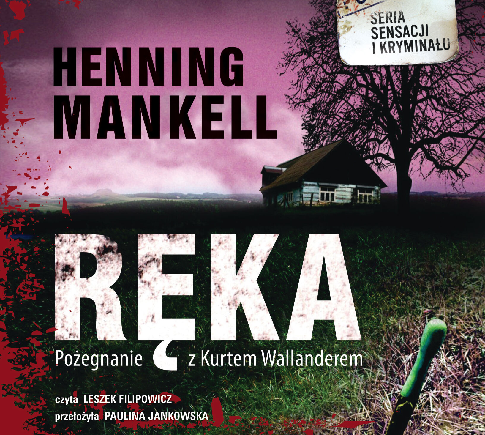 Ręka (audiobook CD)
