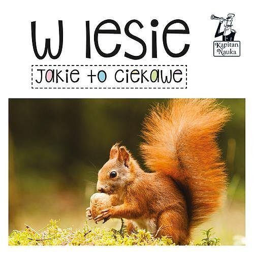 Kapitan Nauka. Jakie to ciekawe - W lesie