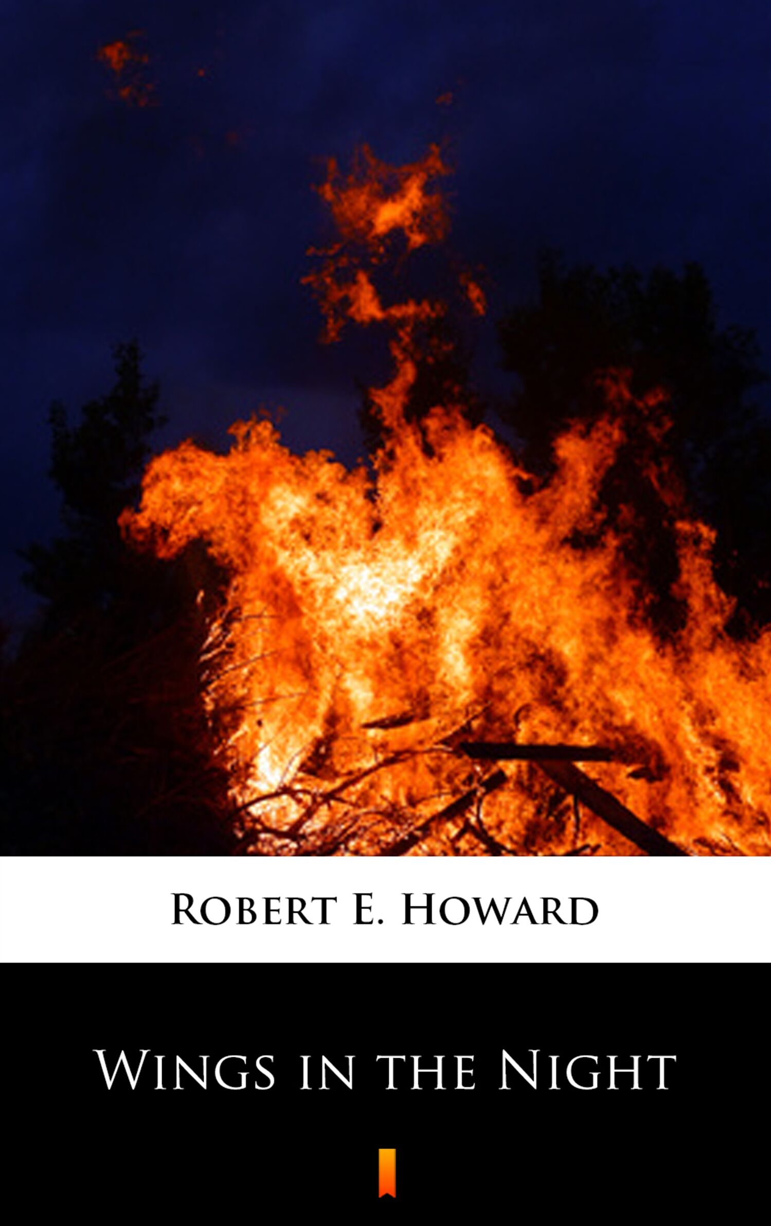 Wings in the Night (e-book)