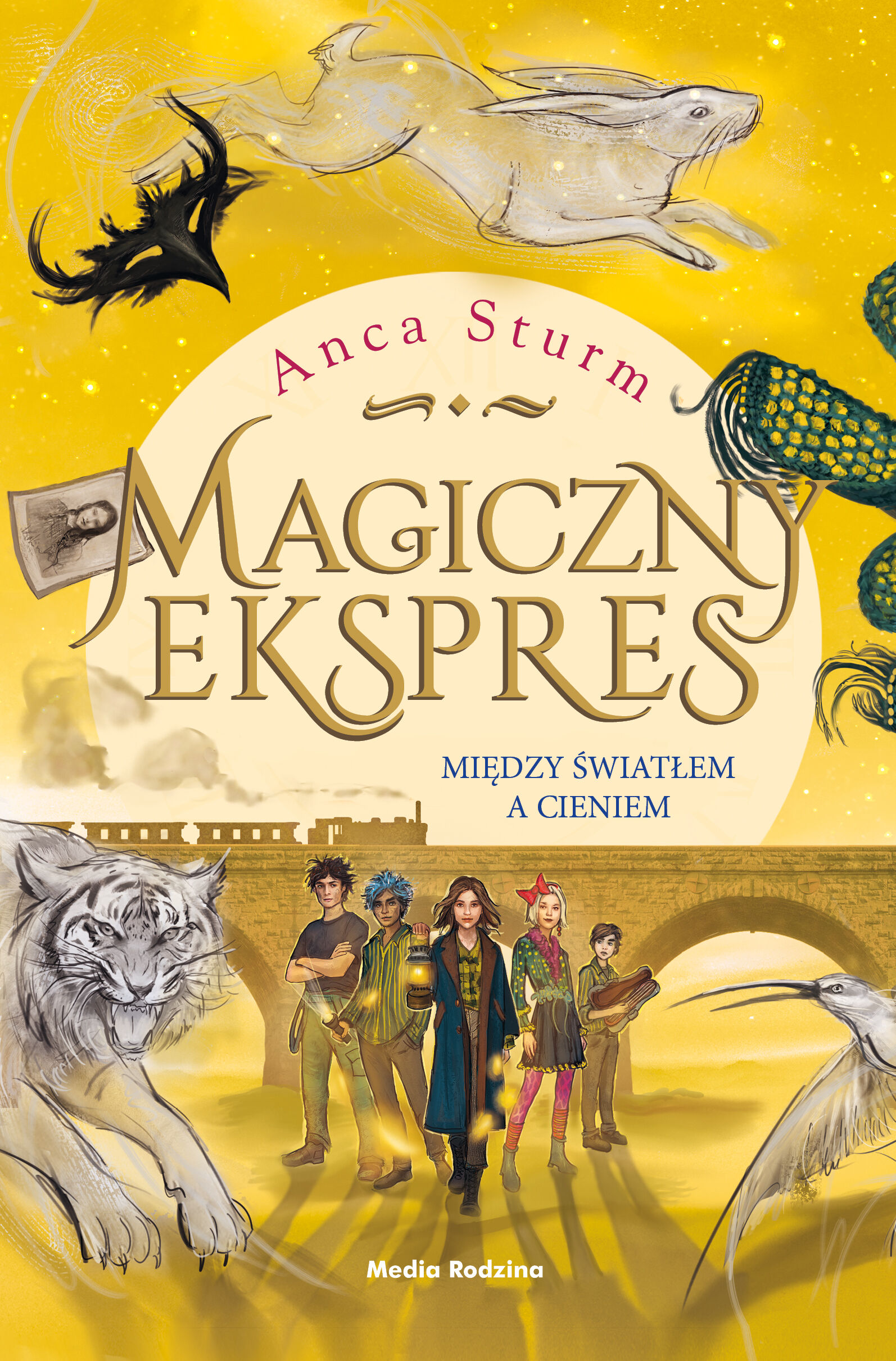 Magiczny ekspres 2. Między światłem a cieniem (e-book)