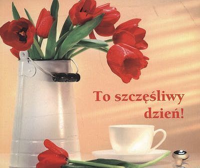 To szczęśliwy dzień - perełki