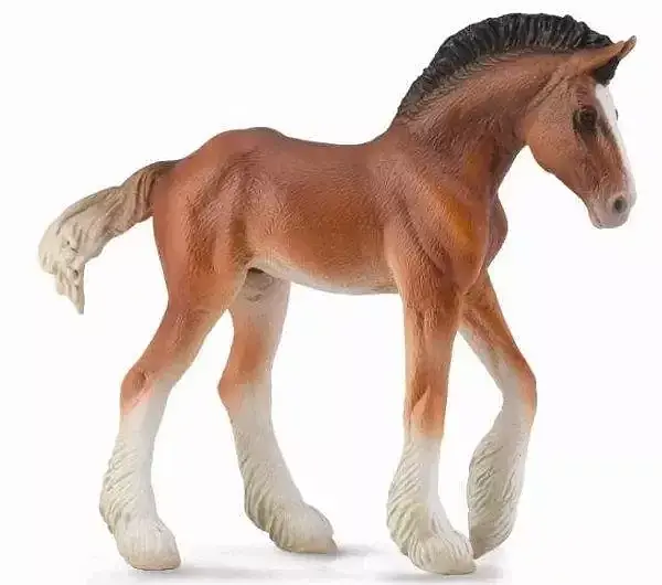 Źrebię Clydesdale Bay M