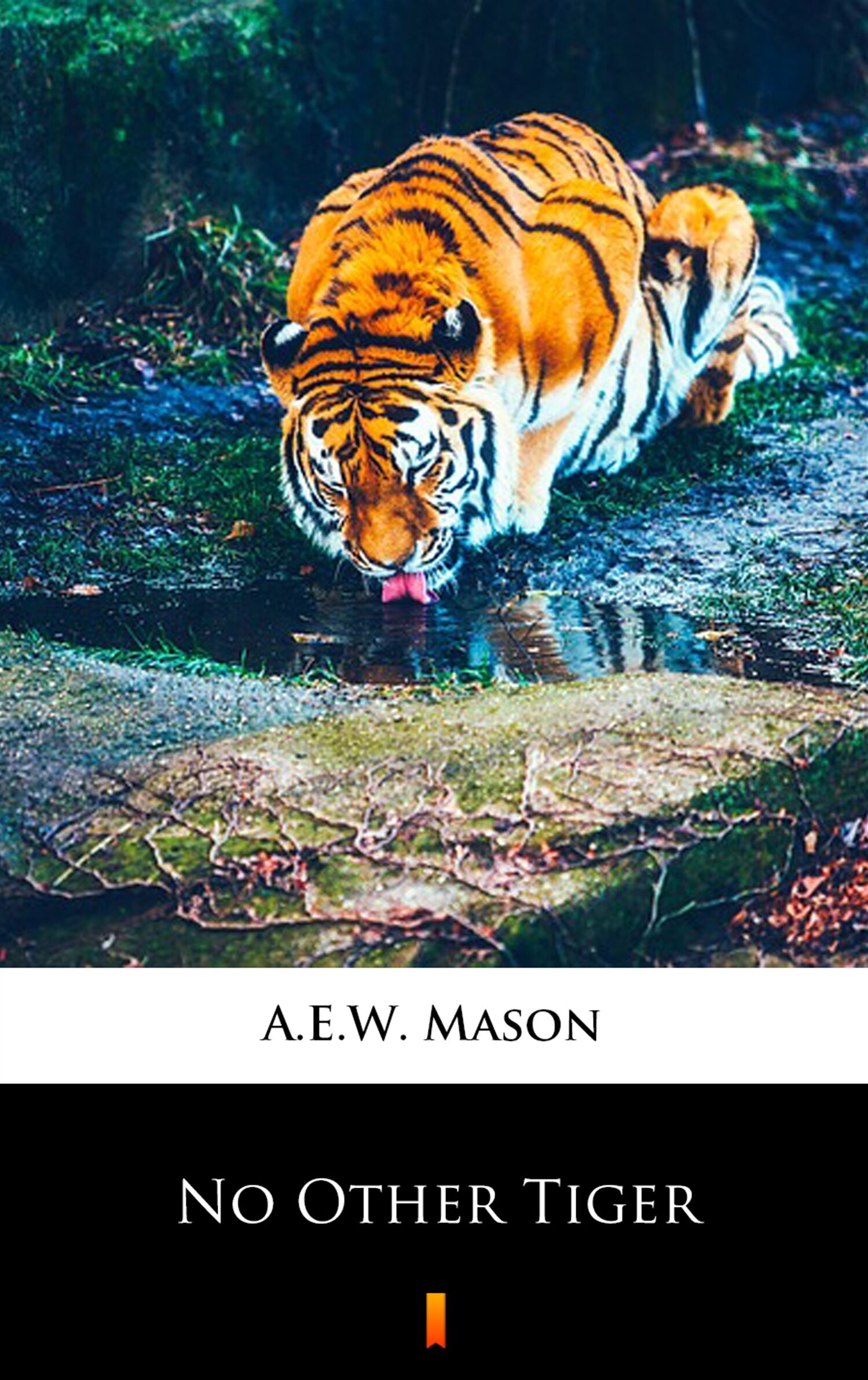 No Other Tiger (e-book)
