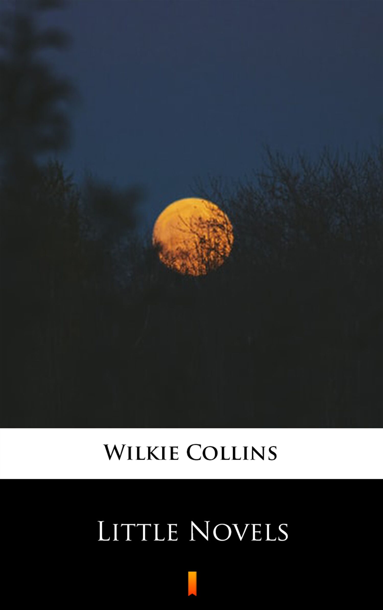 Little Novels (e-book)