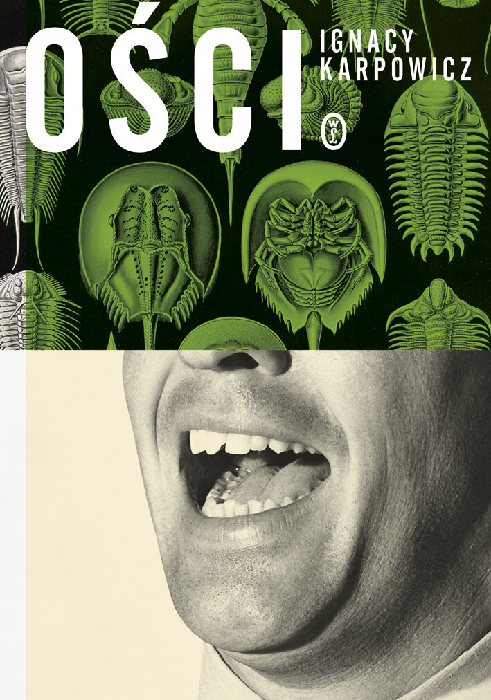 ości (e-book)