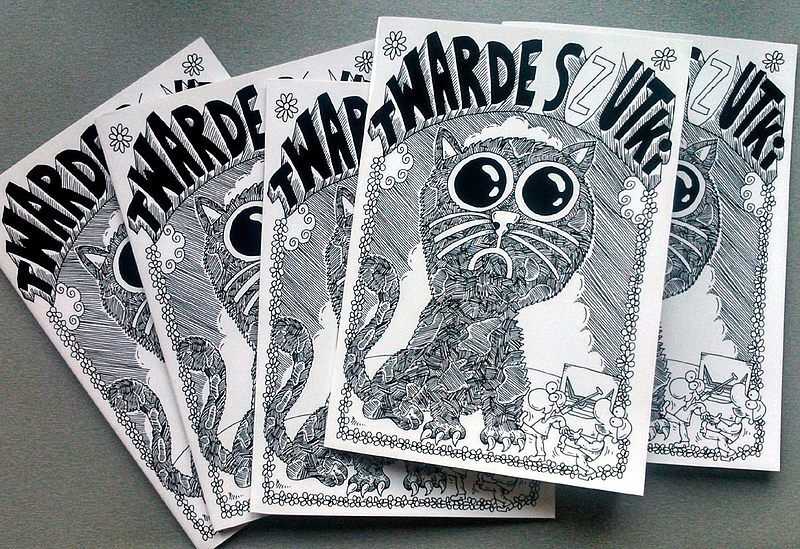 Twarde S(z)utki