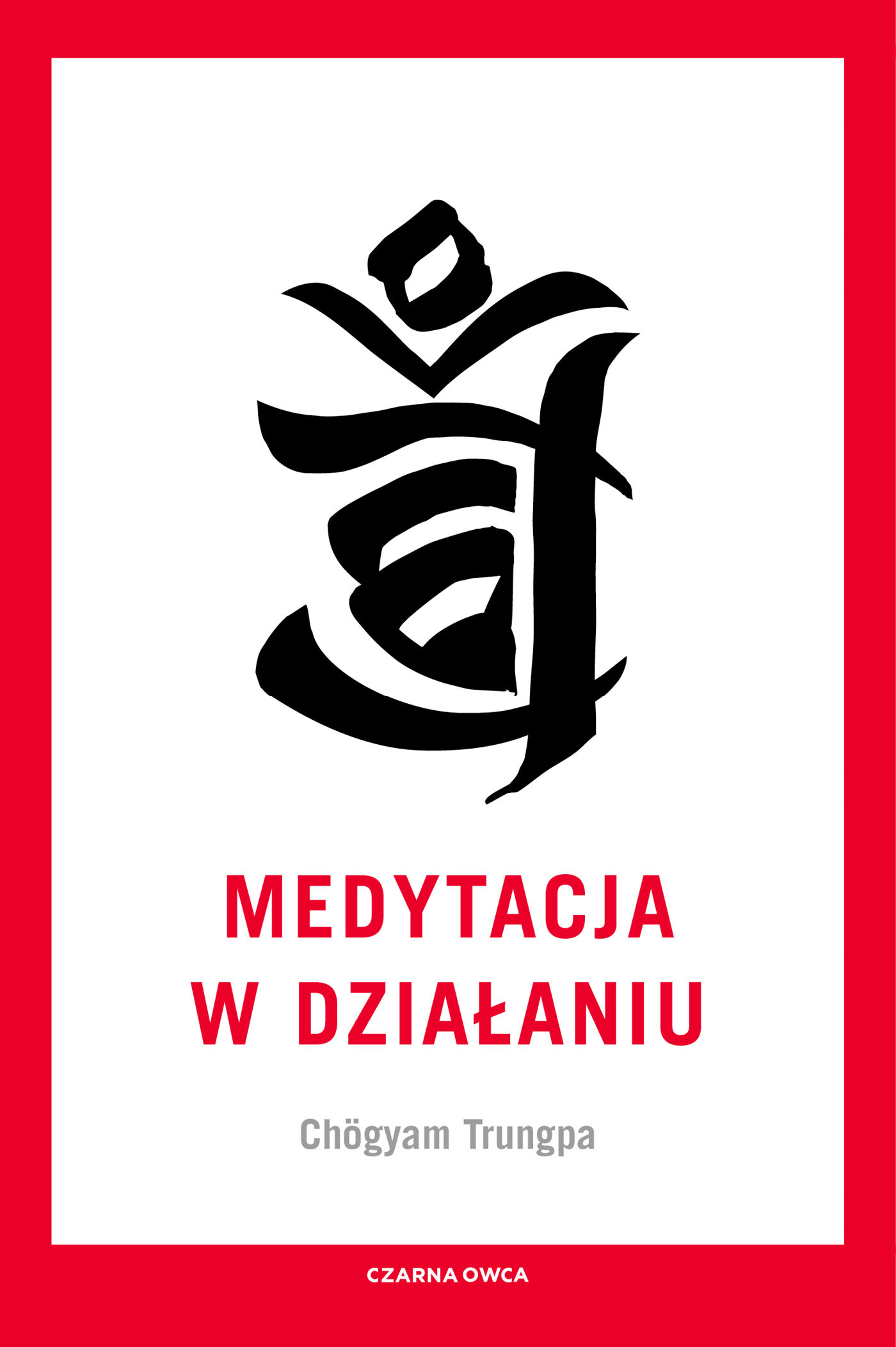 Medytacja w działaniu (e-book)