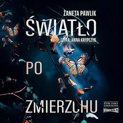 Światło po zmierzchu (audiobook CD)