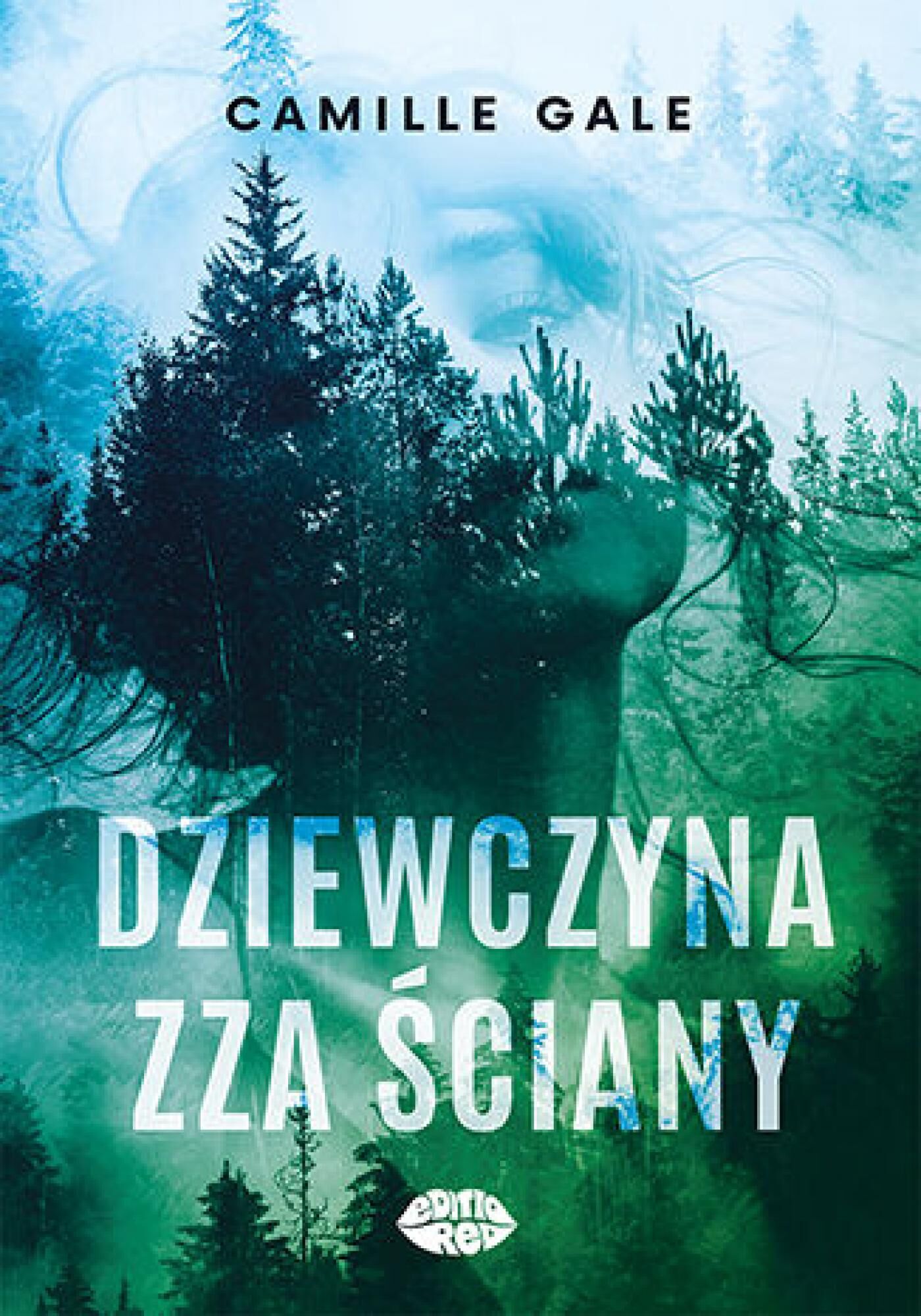 Dziewczyna zza ściany (e-book)