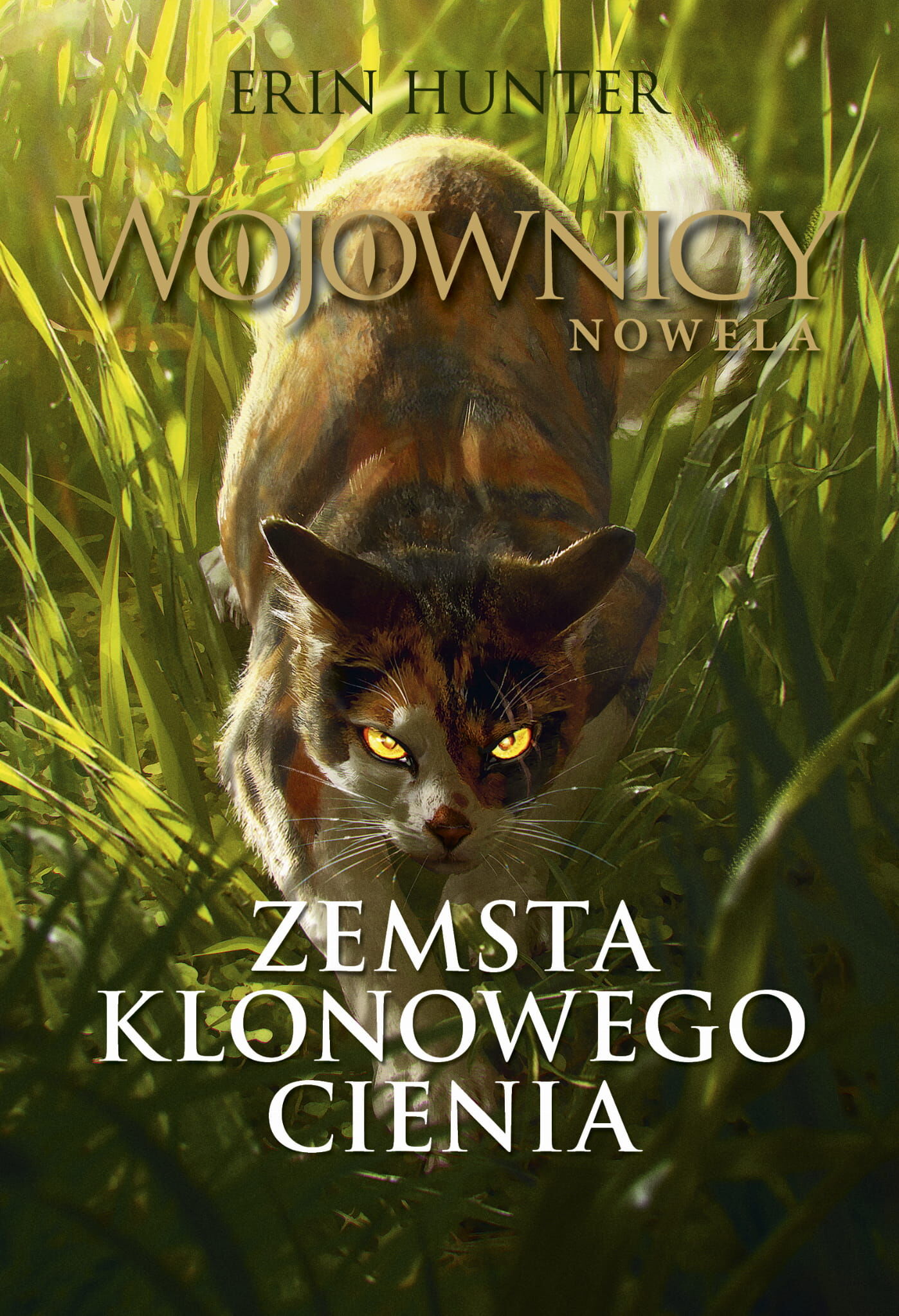 Zemsta Klonowego Cienia (e-book)