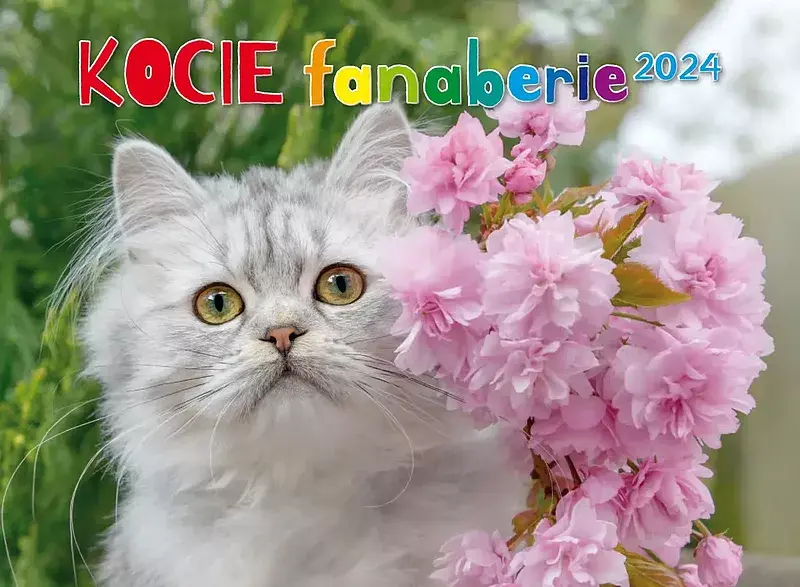 Kalendarz 2024 kocie fanaberie albumowy ścienny ksa-v. 2