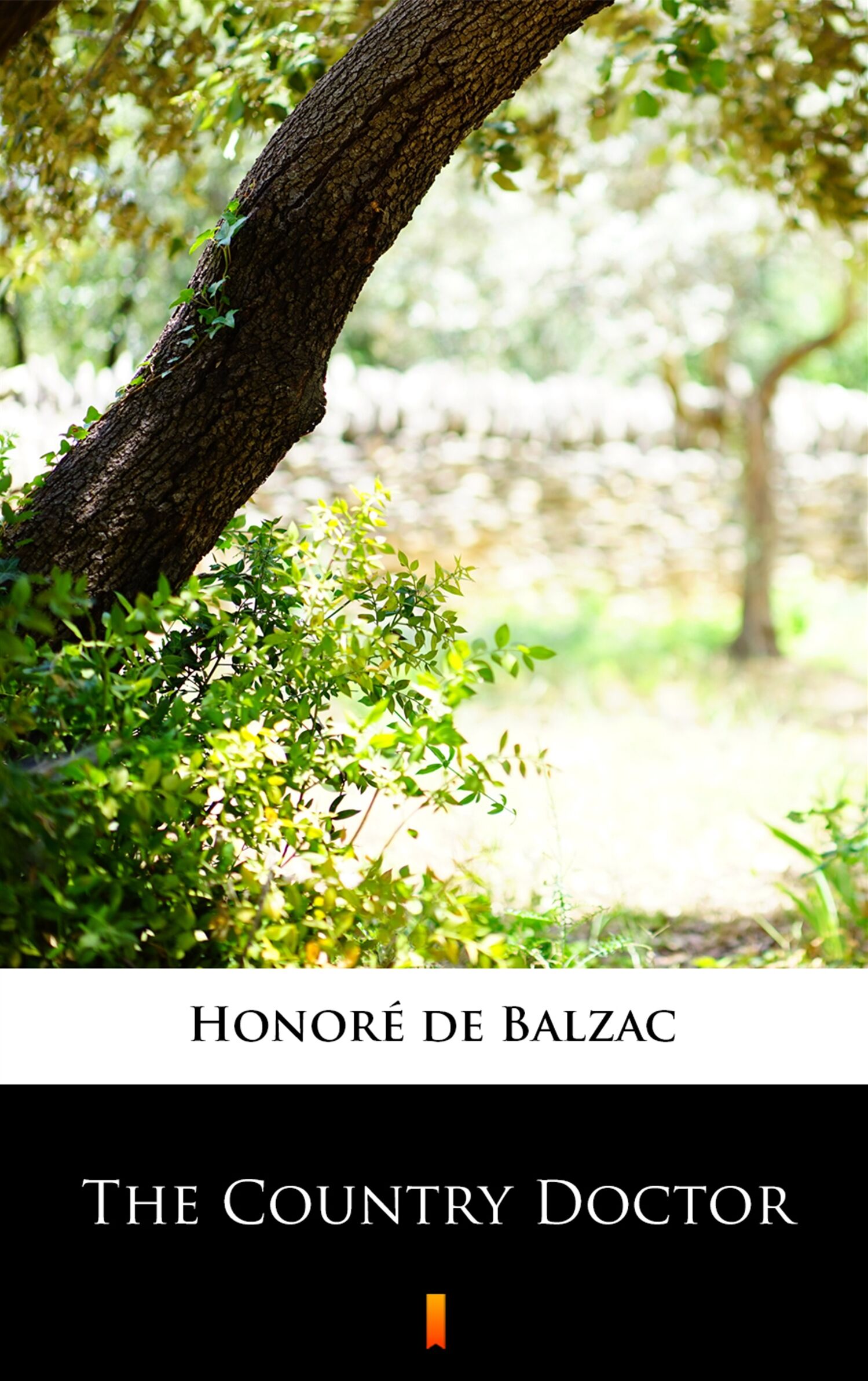 The Country Doctor (e-book)