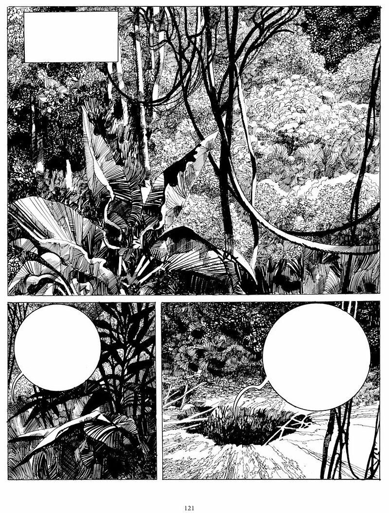 Toppi. Kolekcja. Tom 4: Kolekcjoner