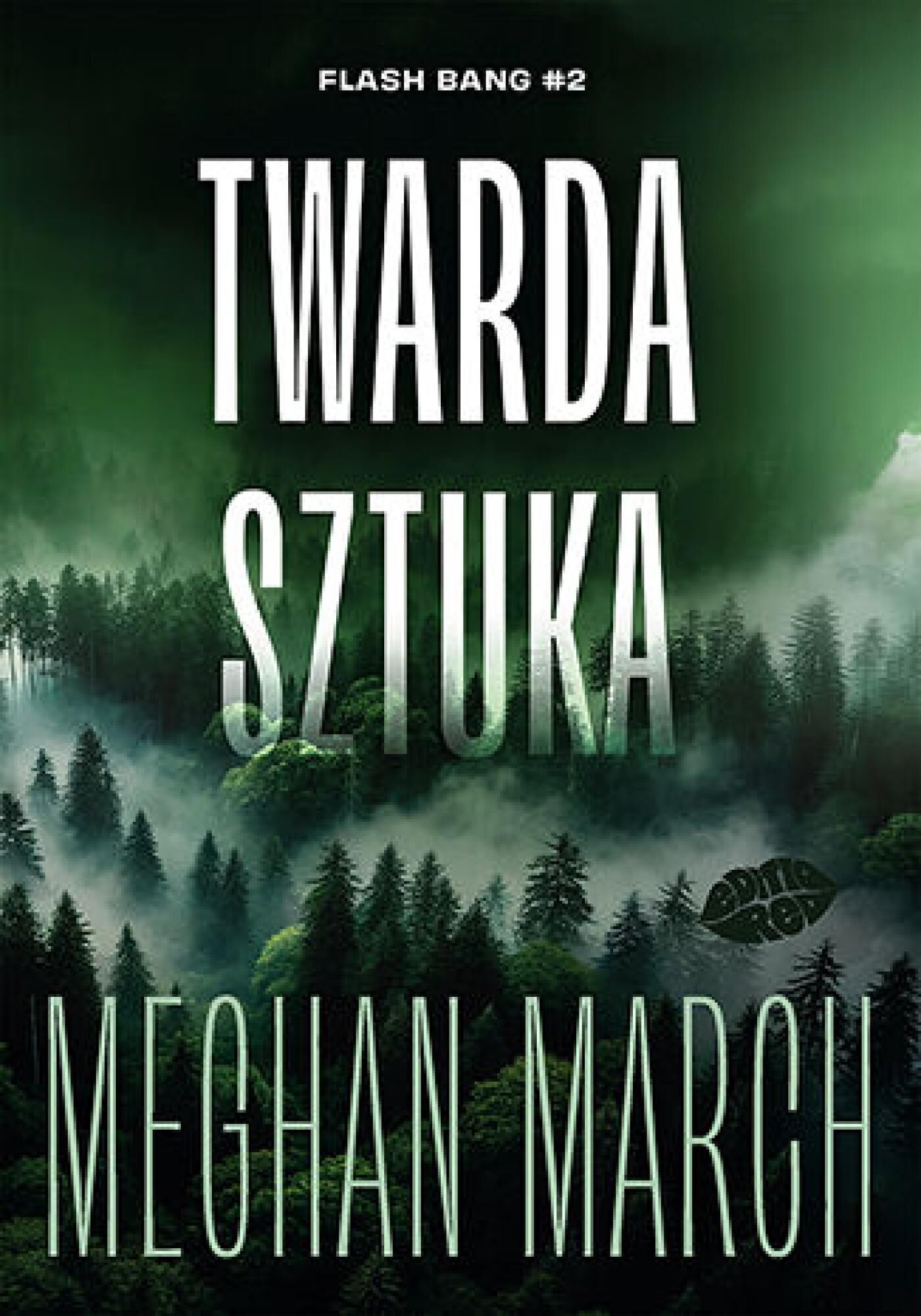 Twarda sztuka. Flash Bang #2 (e-book)