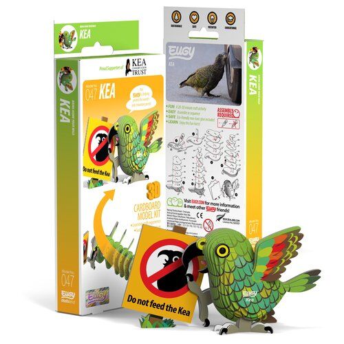 Papuga Kea Eugy Eko Układanka 3D