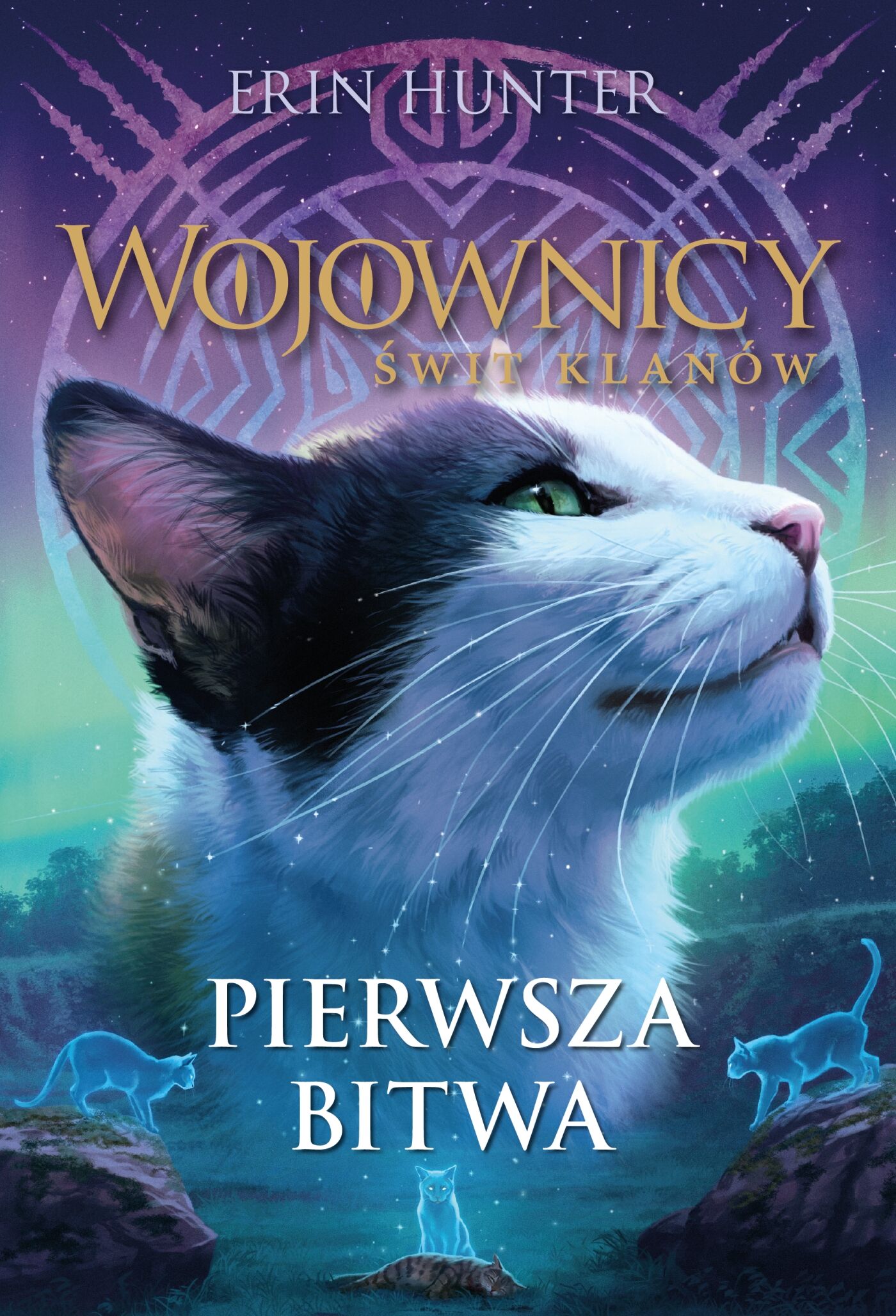 Pierwsza bitwa, Wojownicy (e-book)