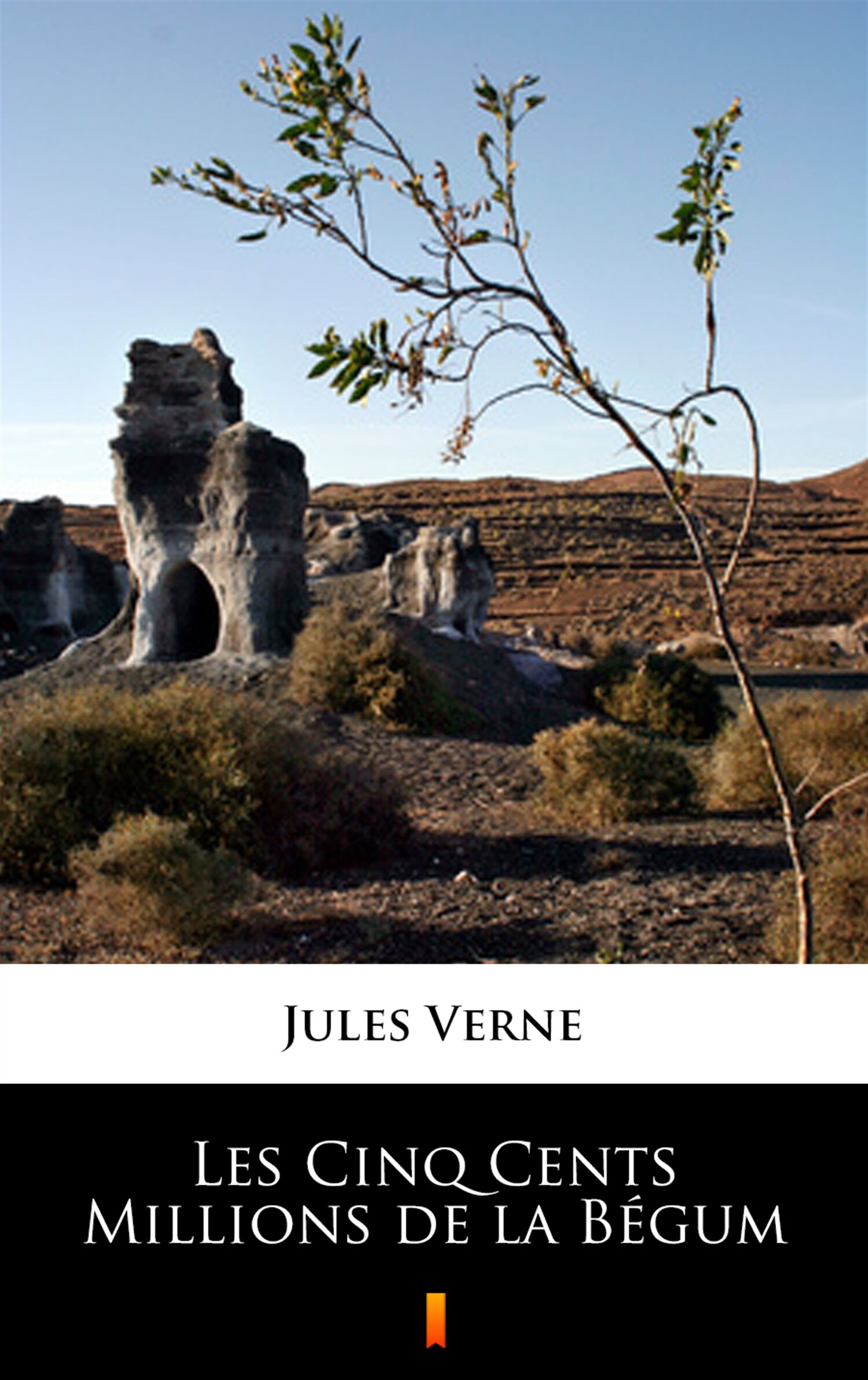 Les Cinq Cents Millions de la Bégum (e-book)
