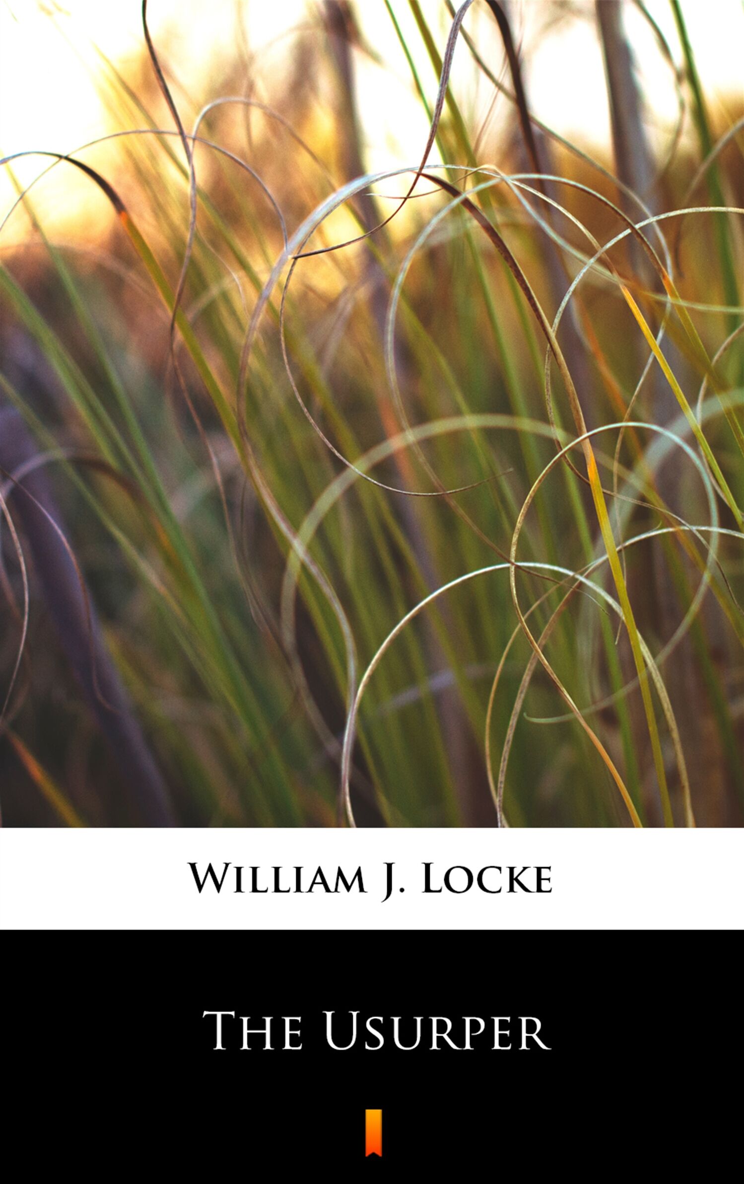 The Usurper (e-book)