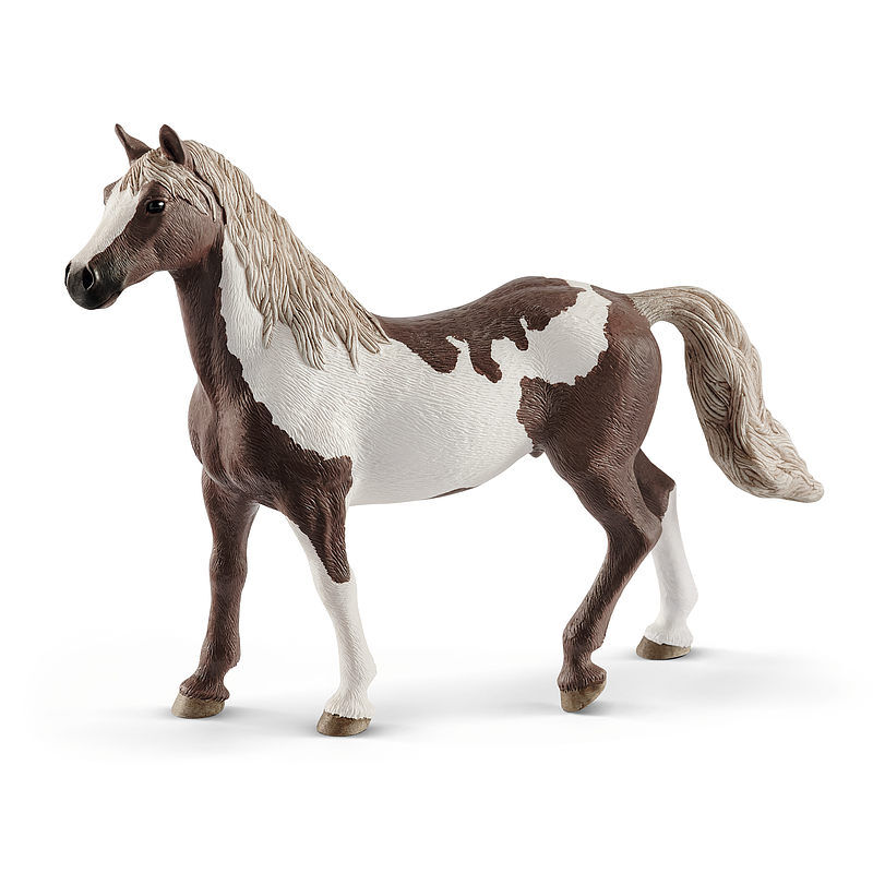 Paint gelding koń slh13885