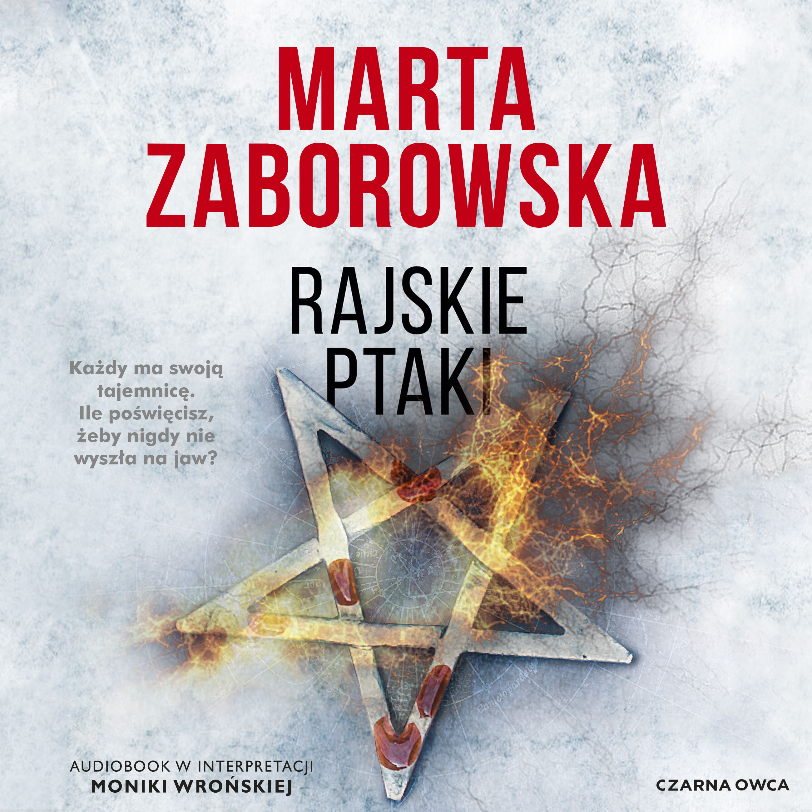 Rajskie ptaki (audiobook MP3)