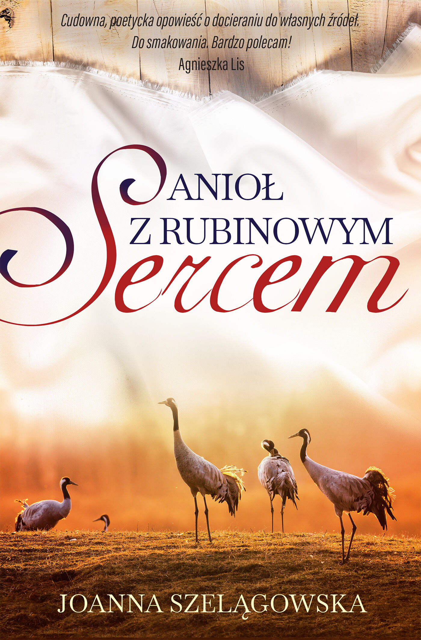 Anioł z rubinowym sercem (e-book)