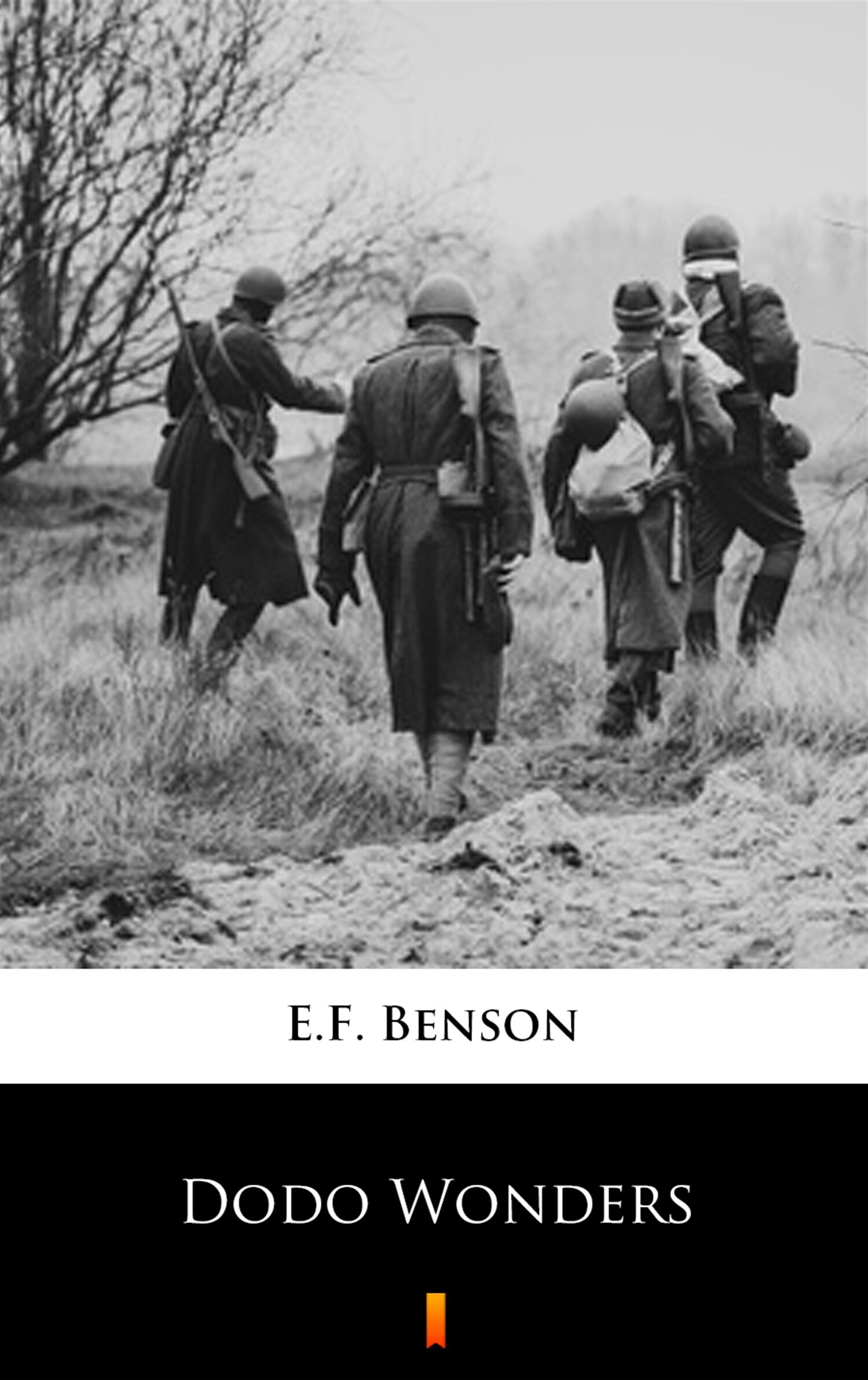 Dodo Wonders (e-book)