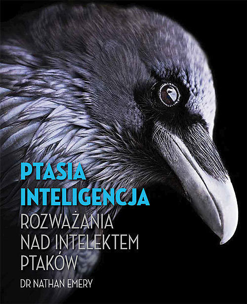 Ptasia inteligencja Rozważania nad intelektem ptaków