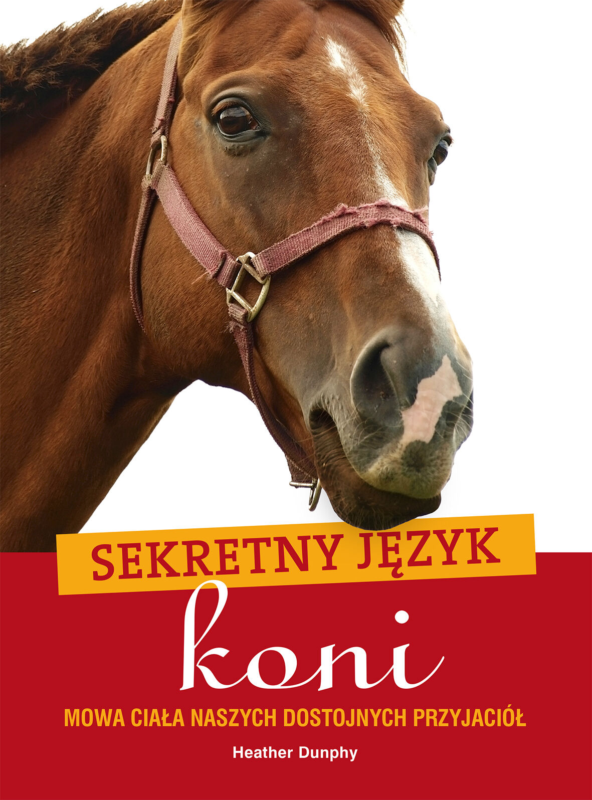 Sekretny język koni
