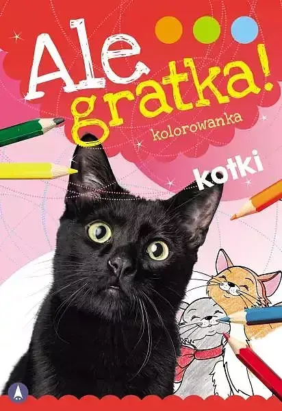Kotki. Ale gratka!