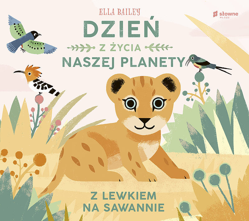 Dzień z życia naszej planety. Z lewkiem na sawannie