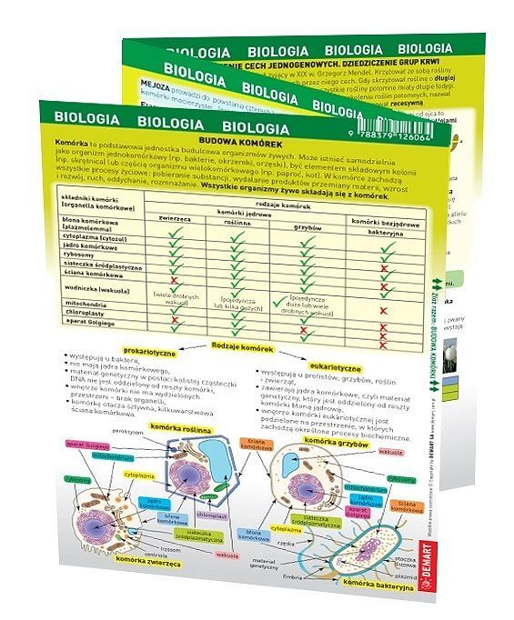 Biologia. Maxi ściąga