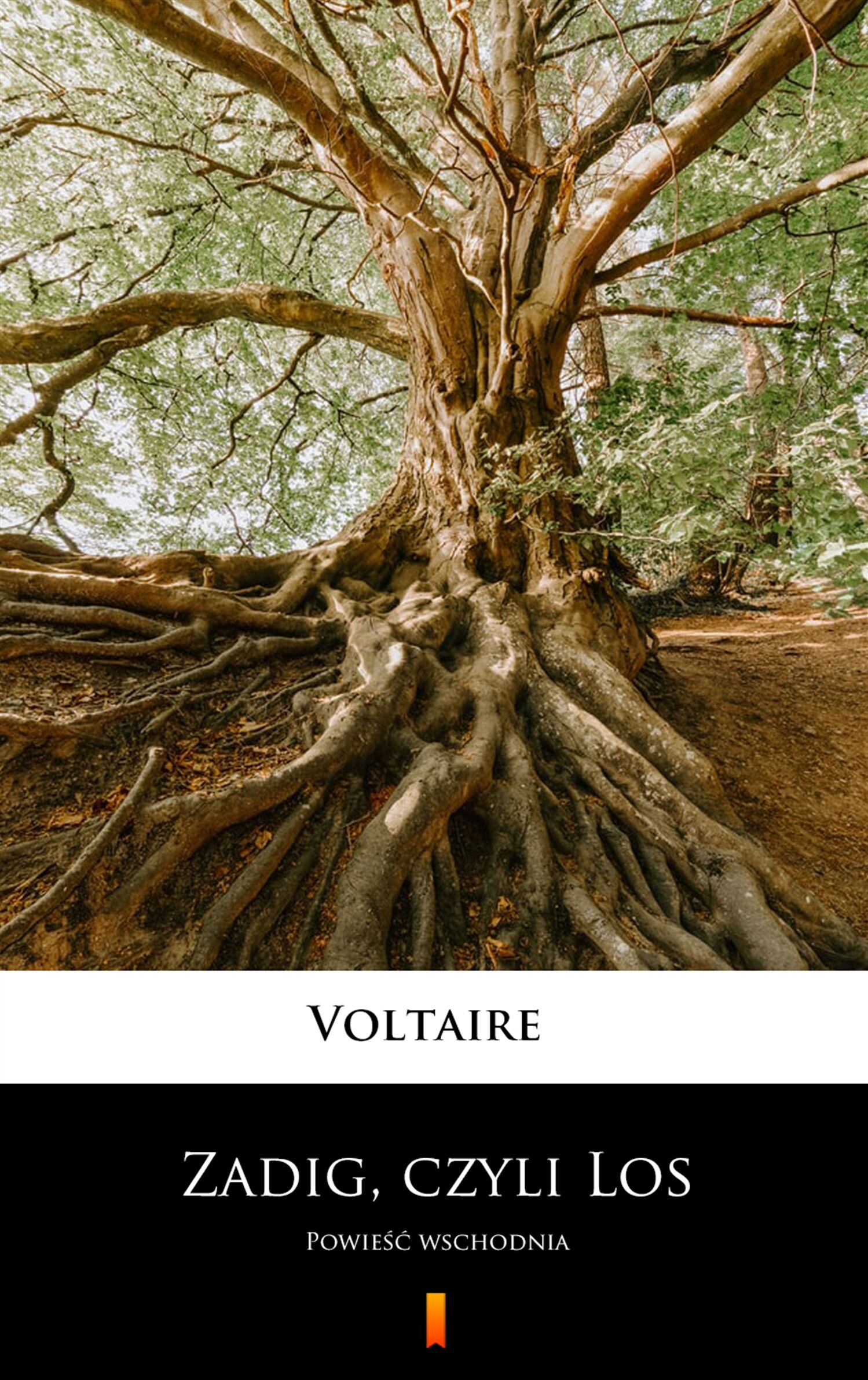 Zadig, czyli Los (e-book)