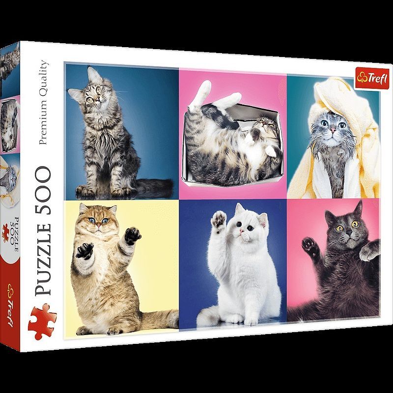 Puzzle 500 Kociaki